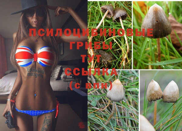 кокаин колумбия Алексеевка