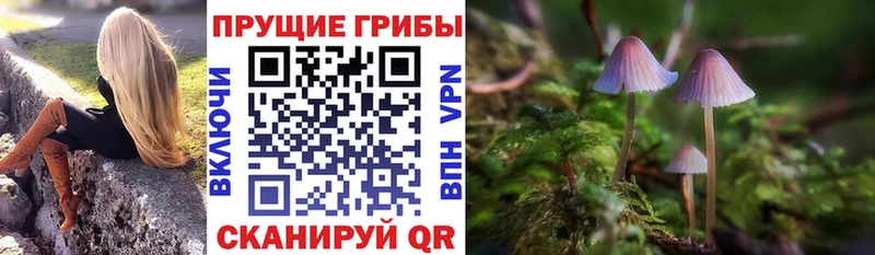 Галлюциногенные грибы прущие грибы  сколько стоит  Ардатов 